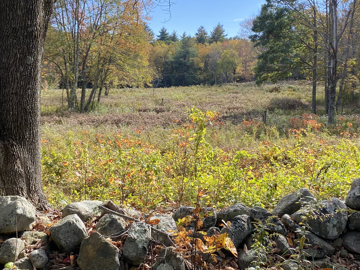 jonlevyBU's tweet image. Wonderful and inspiring @busphEH retreat today. Spent the day outdoors and unplugged, reconnecting, brainstorming, and rebuilding. Truly an amazing department. Together we are ready to face the challenges ahead. Perfect #DayOfScience