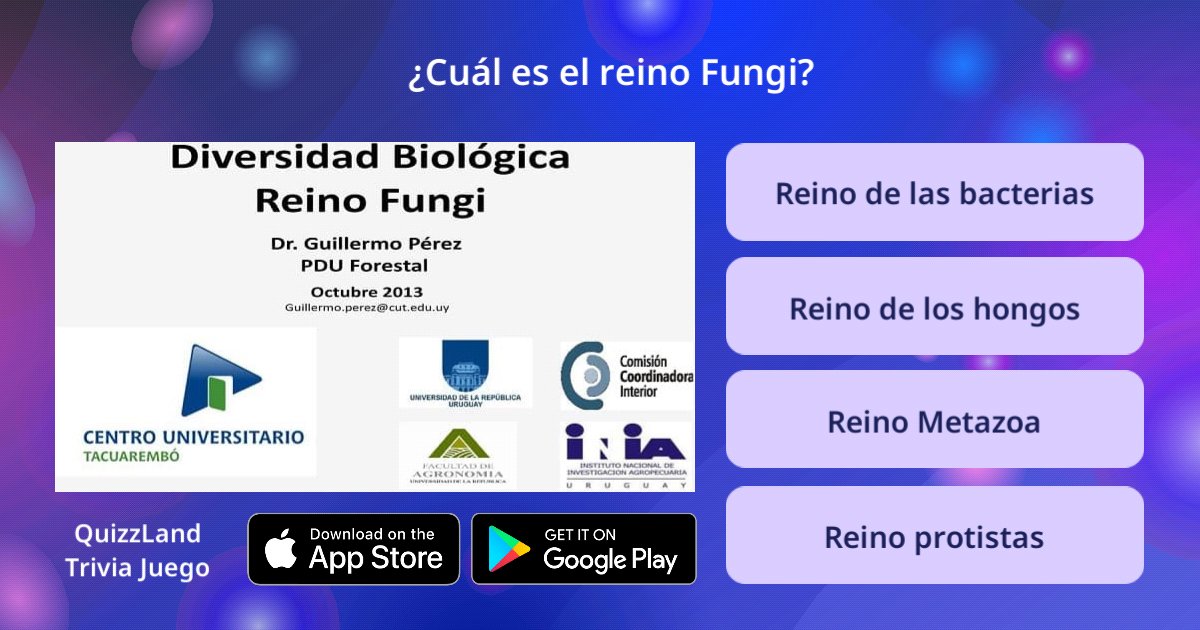 MagdaLovesSKZ's tweet photo. ¡Juega en #QuizzLand! Descargar gratis: https://t.co/7pm1LkGzK9 https://t.co/AFmnEc2ErQ