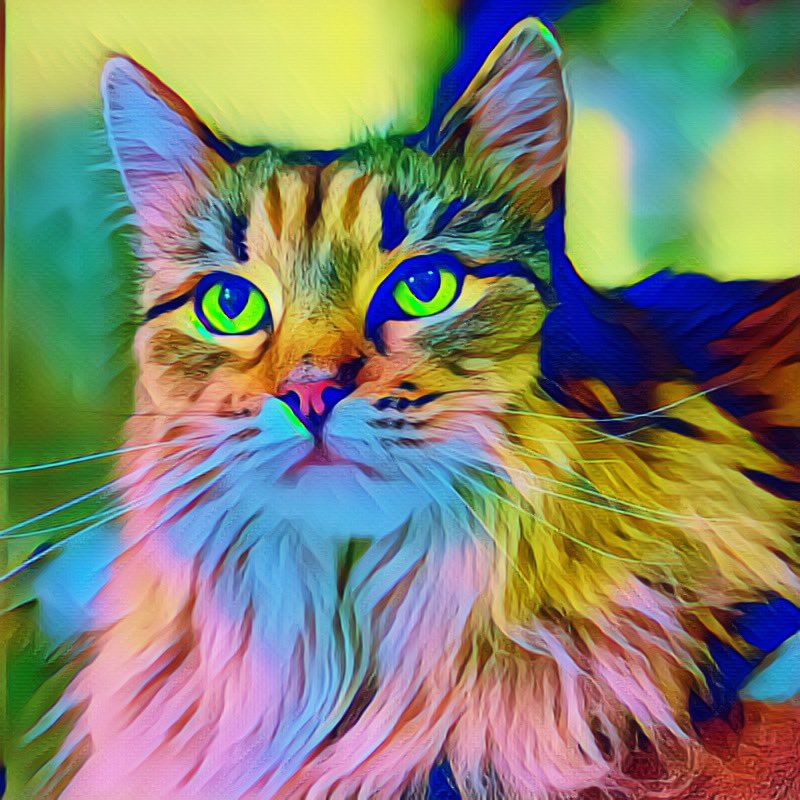 HazelandRemy's tweet photo. Let’s help Sophia by Retweeting to help her find her forever home. See her story below 😿 She deserves a wonderful place to live. Contact @RappCatsAdopt ❤️ — Hazel and Remy #noVA #DC #VA #MD #Virginia #AdoptDontShop #cats #pets #Maryland #Virginia https://t.co/KapHDYlnix