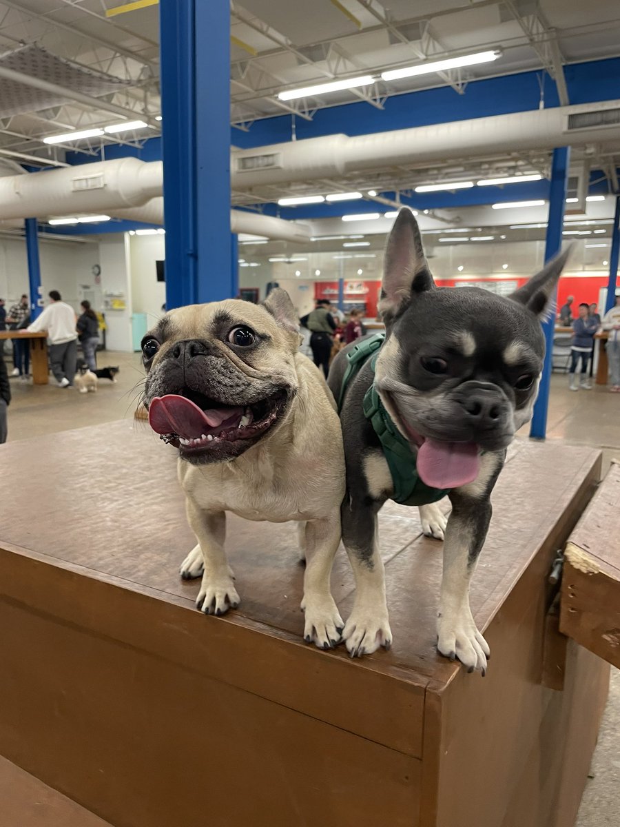 Joey Mueller tweet media