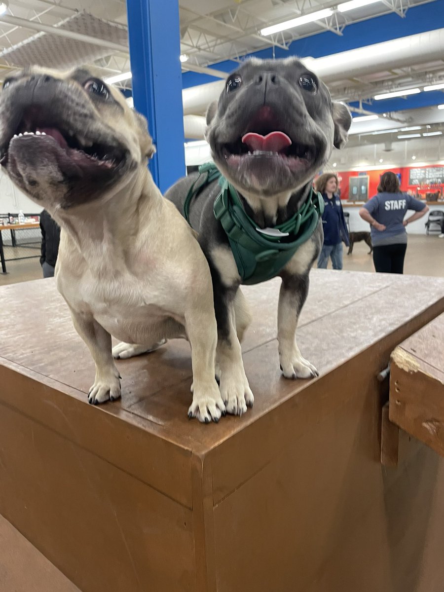 Joey Mueller tweet media