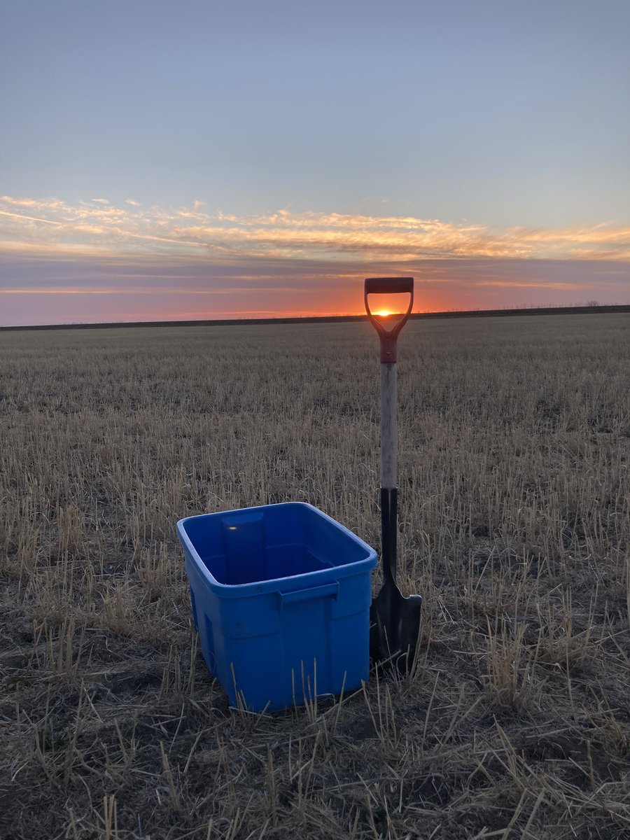 Grateful for this industry, my clients and Saskatchewan beauty to enjoy peaceful work evenings like these. No agronomist can go without a quick snap shot, am I right? <a href="/Price5678/">Dakota Price</a>  Let’s see them! #showmeyoursunset #soilhealth #soilsampling #saskviews <a href="/westernagNWSK/">WesternAg North West Sask.</a>