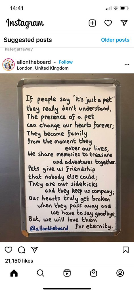 rachael coyne (@rachcoyne) on Twitter photo 