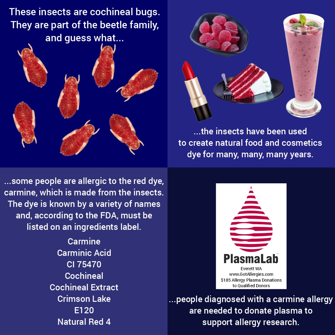 Carmine. Natural Red 4. Crimson Lake. Cochineal Extract. This natural food &amp; cosmetics dye is known by many different names. And we're seeking out people who are allergic to the dye to support allergy research. 

#foodallergy #everettwa #seattlewa #snohomish #skagit #bellingham