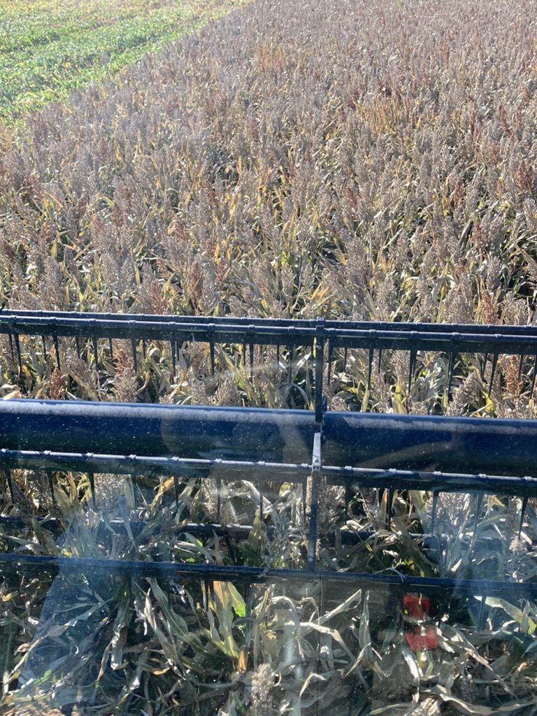 Shale Porter tweet media