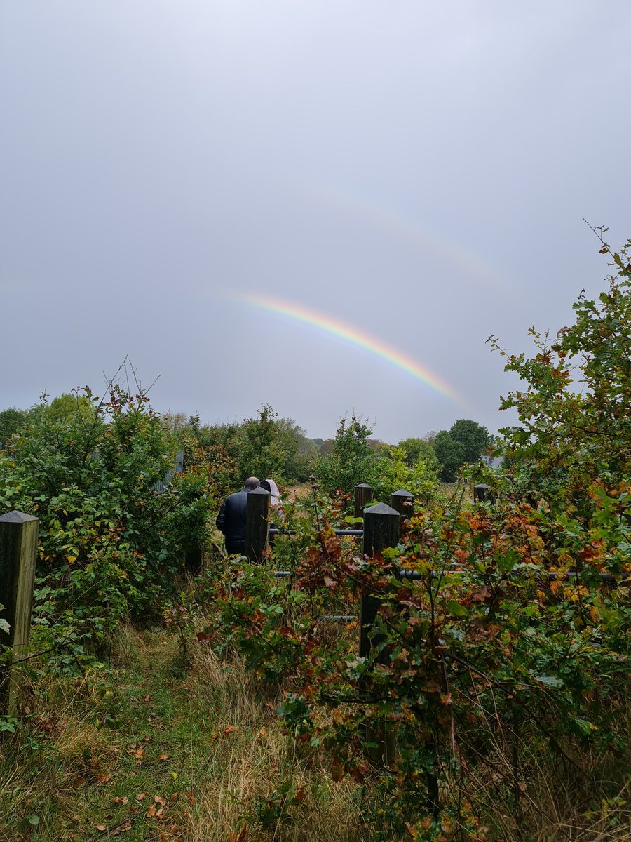 NaturallyBirmi1's tweet photo. @B31Voices Ah yes. We managed to spot one of those in @DawberryFields park today. Just before a torrential thunderstorm. https://t.co/6T7R9NDA6u