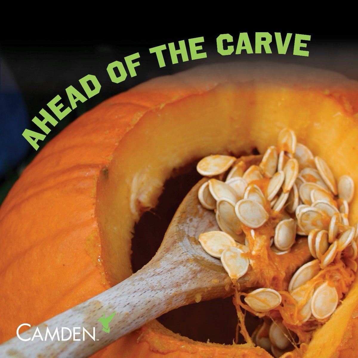 This year, don't let that Fall decor go to waste. Find ways to use the whole pumpkin!  

1. Cook the pumpkin to make delicious pumpkin puree.
2. Use a small empty pumpkin as a serving bowl or planter.
