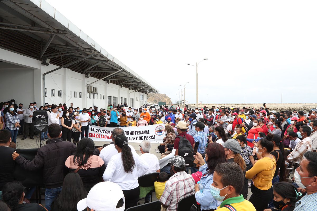 Produccion_Ecu's tweet photo. 📍#Manabí | Más de 1.000 pescadores artesanales de distintas provincias del perfil costero se congregaron a las afueras del Puerto Pesquero Artesanal San Mateo, a fin de apoyar la gestión realizada por la autoridad pesquera y defender lo contemplado en la #LeyAcuaculturaYPesca. https://t.co/W7ZvLv7vga