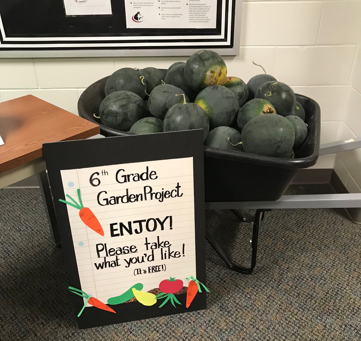 Our last crop was harvested from the garden today - Watermelon! Be sure to grab one for your family to enjoy this weekend after your SLC! 🍉🍉 #aurorahuskies