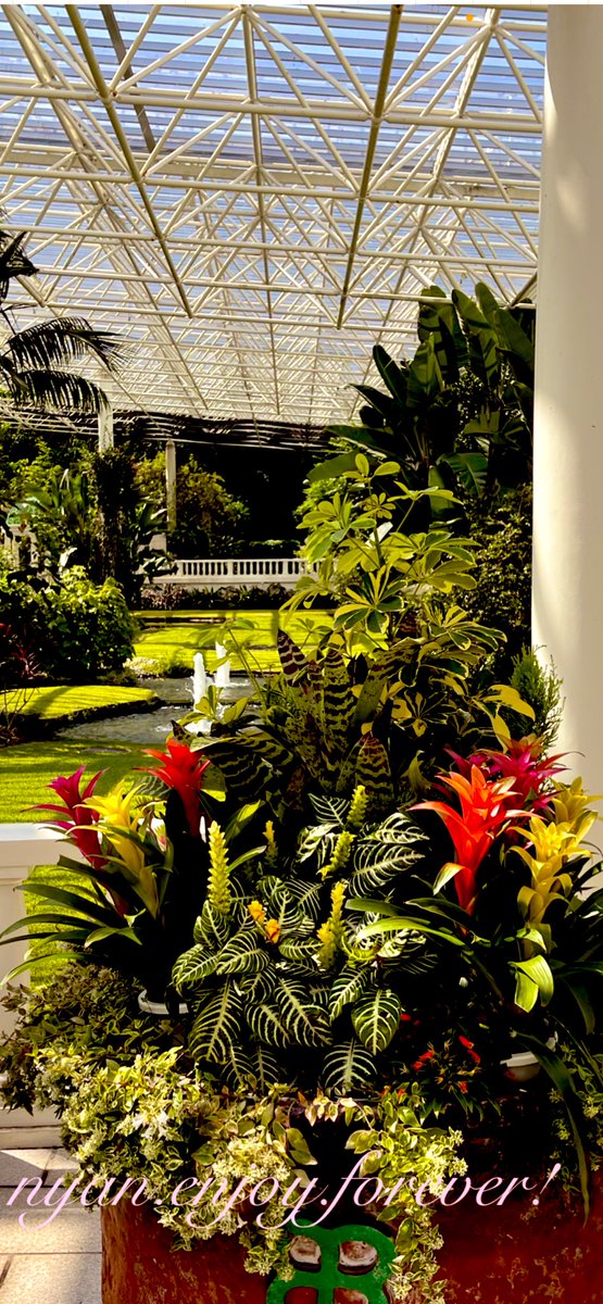 ( * ॑꒳ ॑* )ﾉᵍᵒᵒᵈ ᵐᵒʳᐢⁱᐢᵍ!❣木曜をお知らせ
皆様❣寒いですネ😅今日は上着が入りますネ😢今日もころ👿避けて体調管理もしっかりお願い🙏昨日も寝落ち🥲😅
皆様には(* ˙˘˙)感謝しかありません❣
今日も仕事୧⃛(๑⃙⃘"̮๑⃙⃘)ﻌ(๑"̮๑)୨⃛ゕ̎Խばʒ~ﾈ✨
末永く待っててネ❣꒭ʒႱくﾈ(*´˘`*⑅)