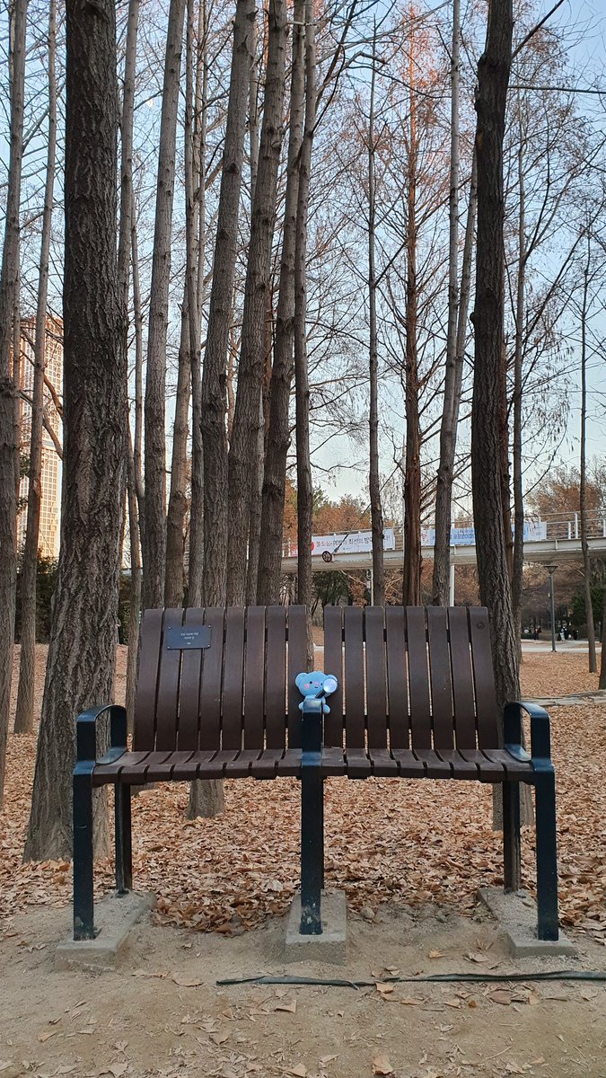 RMenamu's tweet photo. @R_mousse_M 습관적으로 듣게 되는 #monoplaylist
고마워요 남준
ㅡ여름 가을 겨울의 서울숲남준의자ㅡ
#mono_3주년_축하해
#RMonoVersary_D3
#Rmono #RM https://t.co/mVqpJqSnJR