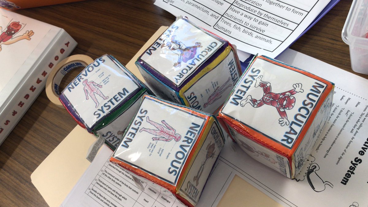 warren edward potts tweet media