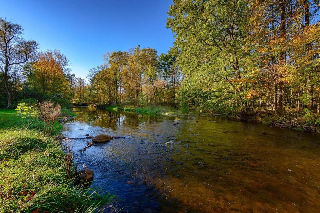 What is the new future of Southeast Michigan's parks, post - COVID? Check out this article – link below  
secondwavemedia.com/features/newfu…
#michtrails #michigantrails