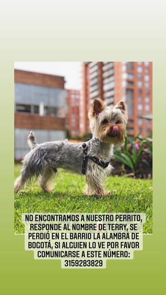 RKARTISTA's tweet photo. Ayúdenme a compartir este tweet por favor :( https://t.co/XmgmKStKbO