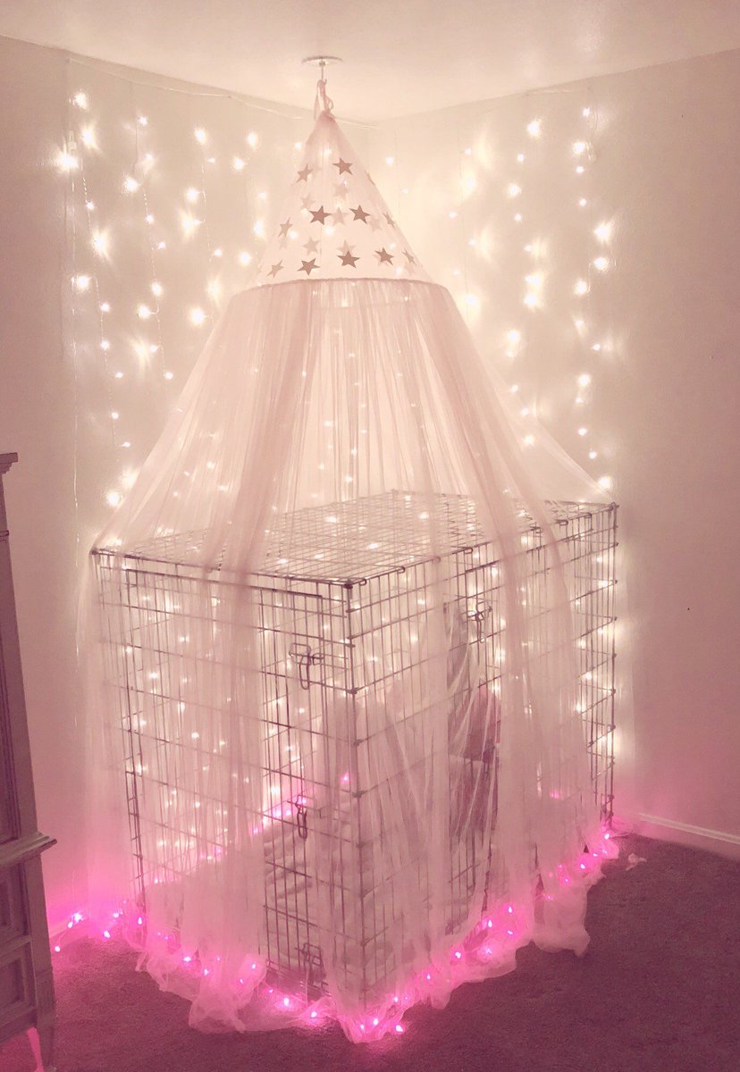 SinBeforeMe's tweet photo. ctw : pet play , bedtime stories

Cutely decorated with lights, fluffy
pillows, and their softest blankies;
A dom reads their pet to sleep
in their cage with their favorite
stuffies.

The dom showing their love and
affection by sliding their fingers
into the cage to be licked. https://t.co/c6tn2I2J7n