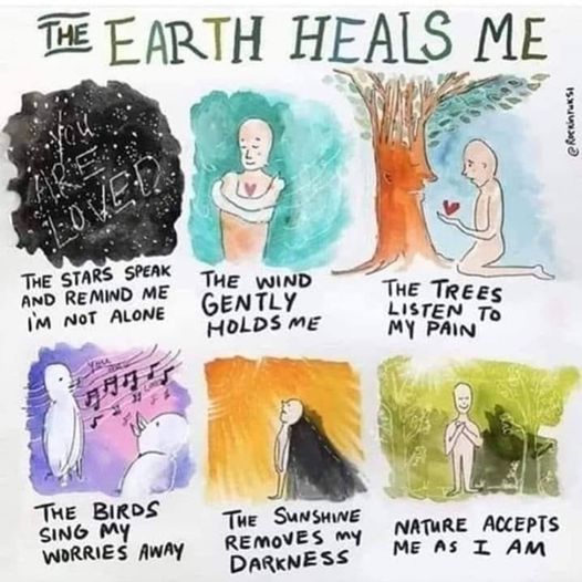 MaximusCampers's tweet photo. #earth #healsme #stars #wind #trees #birds #sunshine #nature https://t.co/mNNhxij2Lj
