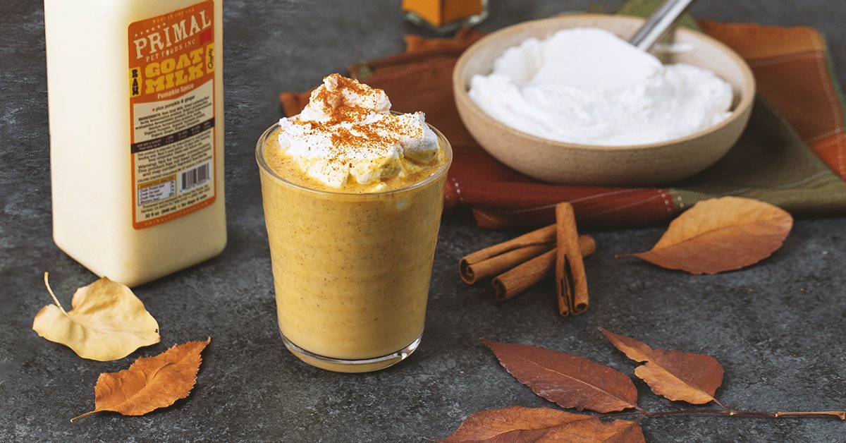 You’re going to strike a gourd with this Pup’kin Spice Latte from Primal! Full of tasty and healthy ingredients, your pup will be barking for more! Grab the recipe here → pbxx.it/NWxgWR