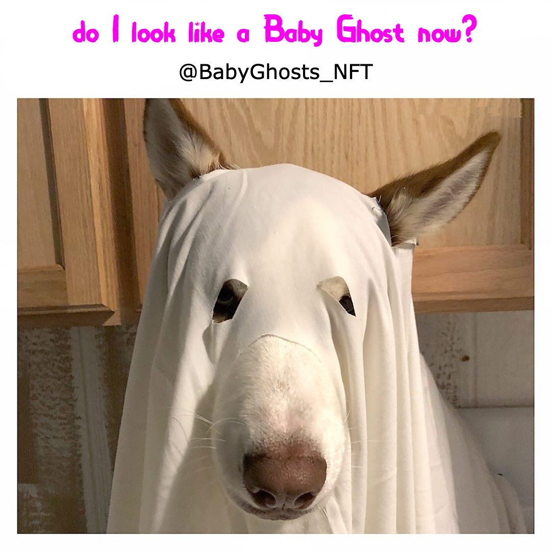 Fluffins_NFT's tweet photo. Could not resist :-)  
@BabyGhosts_NFT
 #BabyGhosts https://t.co/02yDHaV1eb