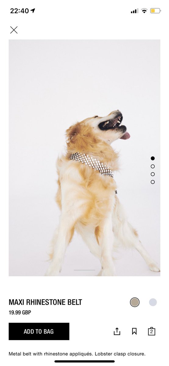 Zara setting yet more unrealistic body standards