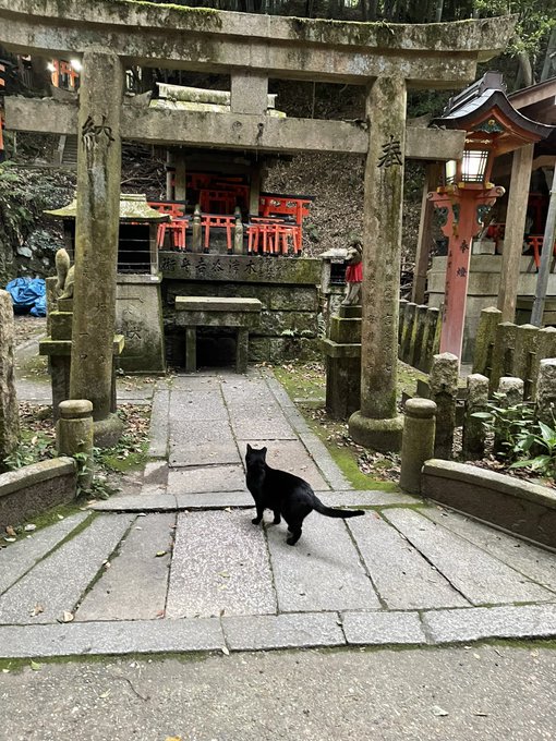 「神社 石灯籠」のTwitter画像/イラスト(古い順)