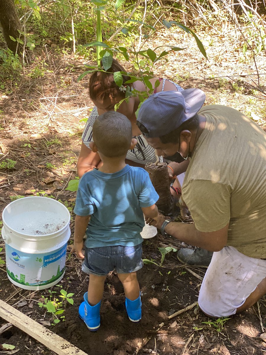 RvrsToken's tweet photo. Planting activity today here in Costa Rica! Local schools, community members and businesses came to help with the planting activity, and to learn about caring for the environment. It’s an important step in ensuring that the trees are taken care of into the future. 
#savetheplanet https://t.co/SpE9be7n9e