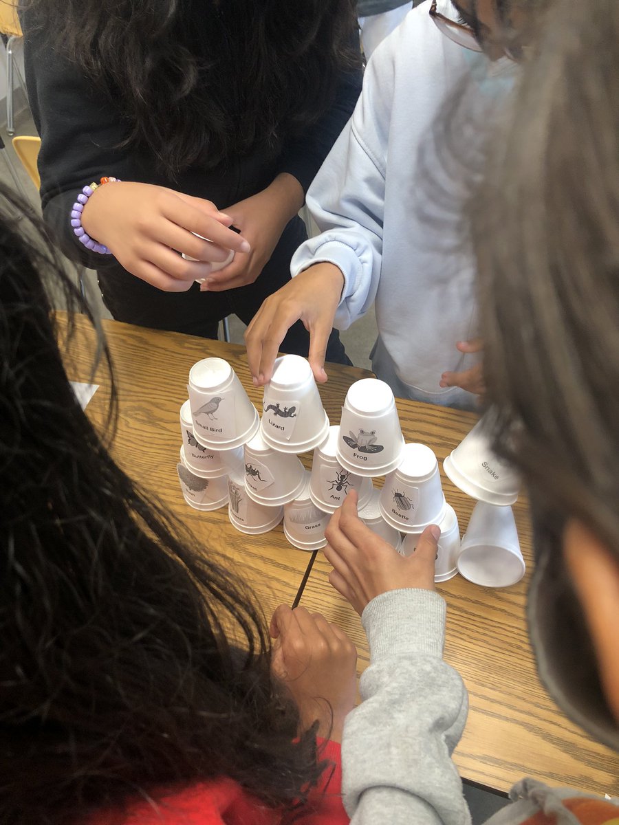 nadianazali's tweet image. Today the amazing students or 6-1 worked in groups to create food webs as we learn about ecosystems and biodiversity 👏🏽 #weareinterconnected @DesmondHDSB