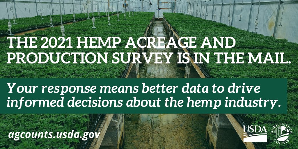 LaDeptAg&Forestry (@laagandforestry) on Twitter photo Hemp producers - The 2021 Hemp Acreage and Production Survey is in the mail! The <a href="/usda_nass/">National Agricultural Statistics Service</a> #hemp survey results could help inform your decisions about growing, harvesting, and selling hemp. Check your mailboxes and respond online at agcounts.usda.gov Hemp producers - The 2021 Hemp Acreage and Production Survey is in the mail! The <a href="/usda_nass/">National Agricultural Statistics Service</a> #hemp survey results could help inform your decisions about growing, harvesting, and selling hemp. Check your mailboxes and respond online at agcounts.usda.gov