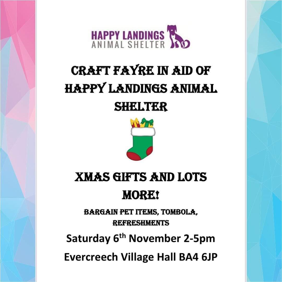 Come and join us at Evercreech Village Hall aon the 6/11/21 and help Happy Landings raise for our rescues 🐶🐱🐕🐈❤