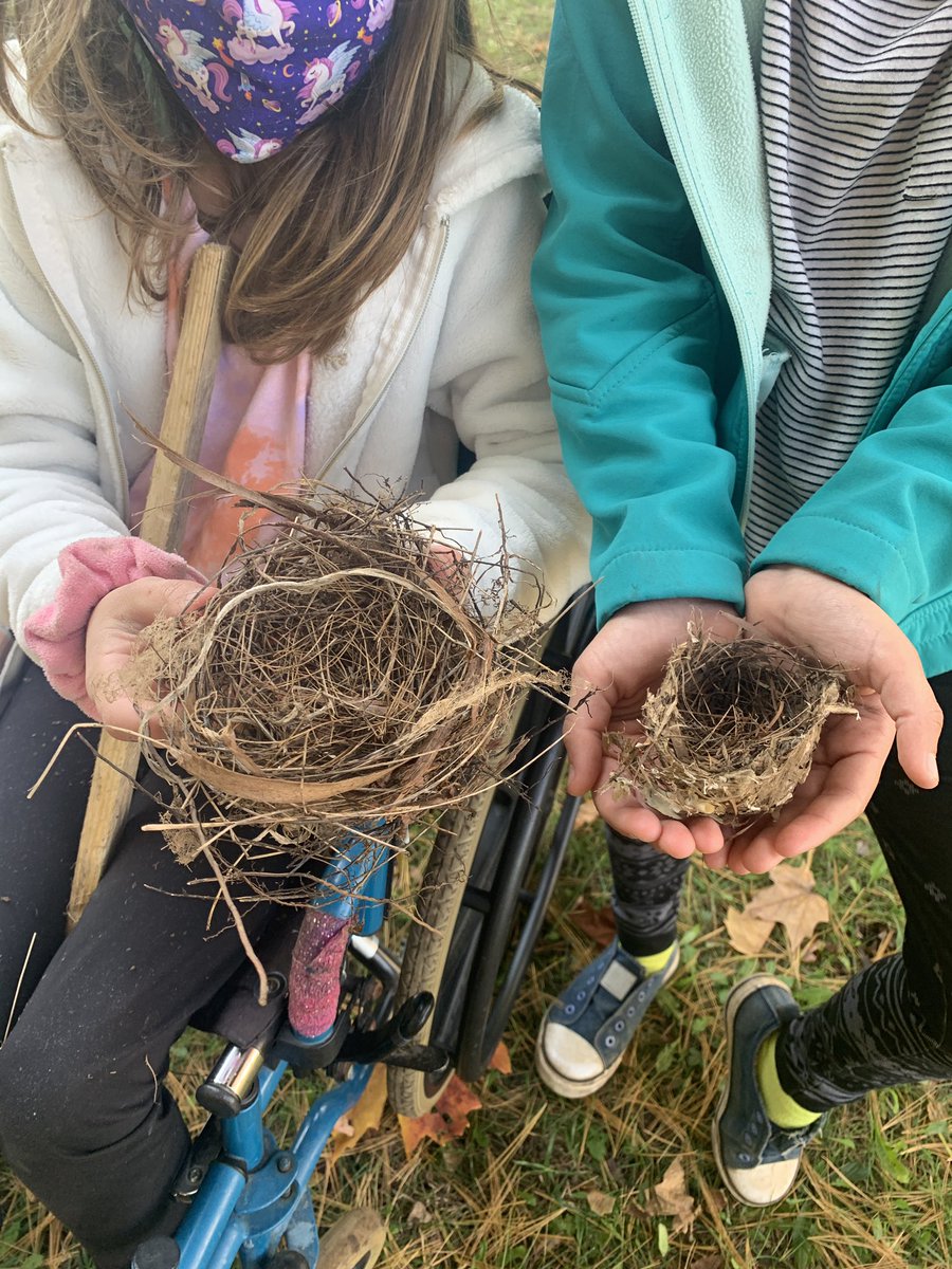 JennicaDrake's tweet photo. Today was #takemeoutsideday🇨🇦 We joined teachers and students across Canada by taking our learning outside to help raise awareness of the importance of regular outdoor time and getting out to enjoy and explore the wonderful world around us! @ugdsb @SalemPS https://t.co/8lmNRXUAUg