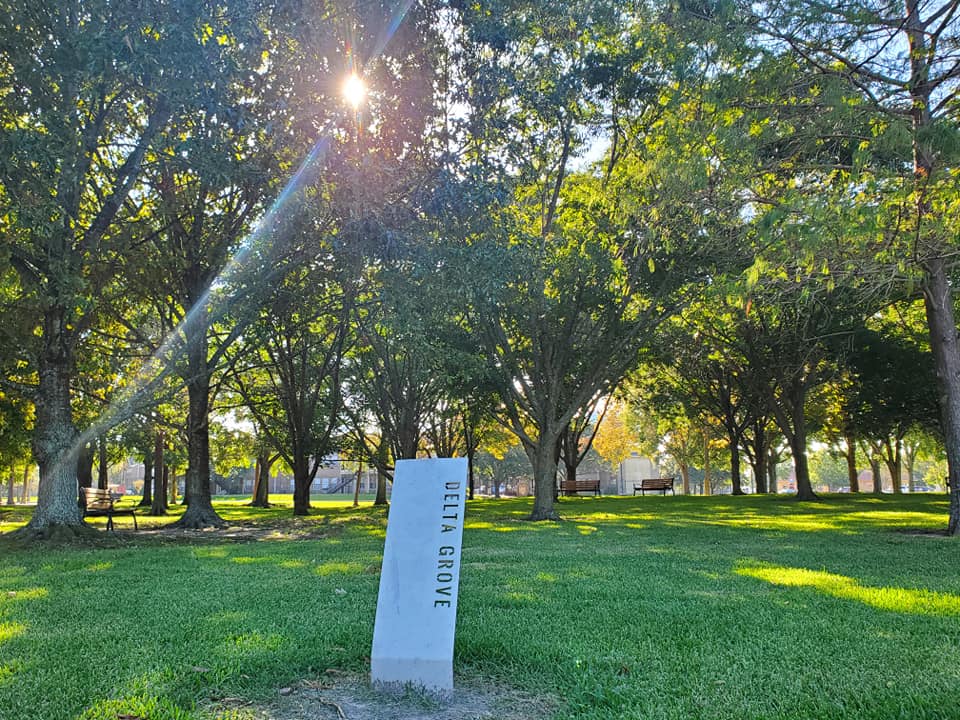 It's a beautiful day on campus!  Special shout out to our transfer students during National #TransferStudentWeek.  Thank you for choosing UHCL!