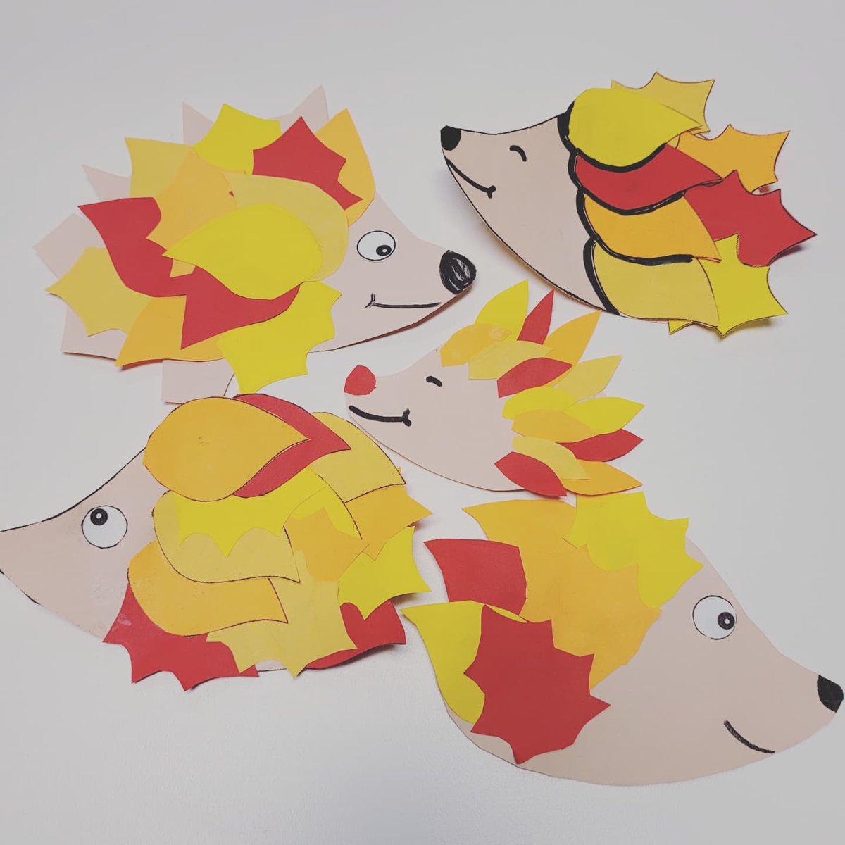 BLHSGerman tweet media