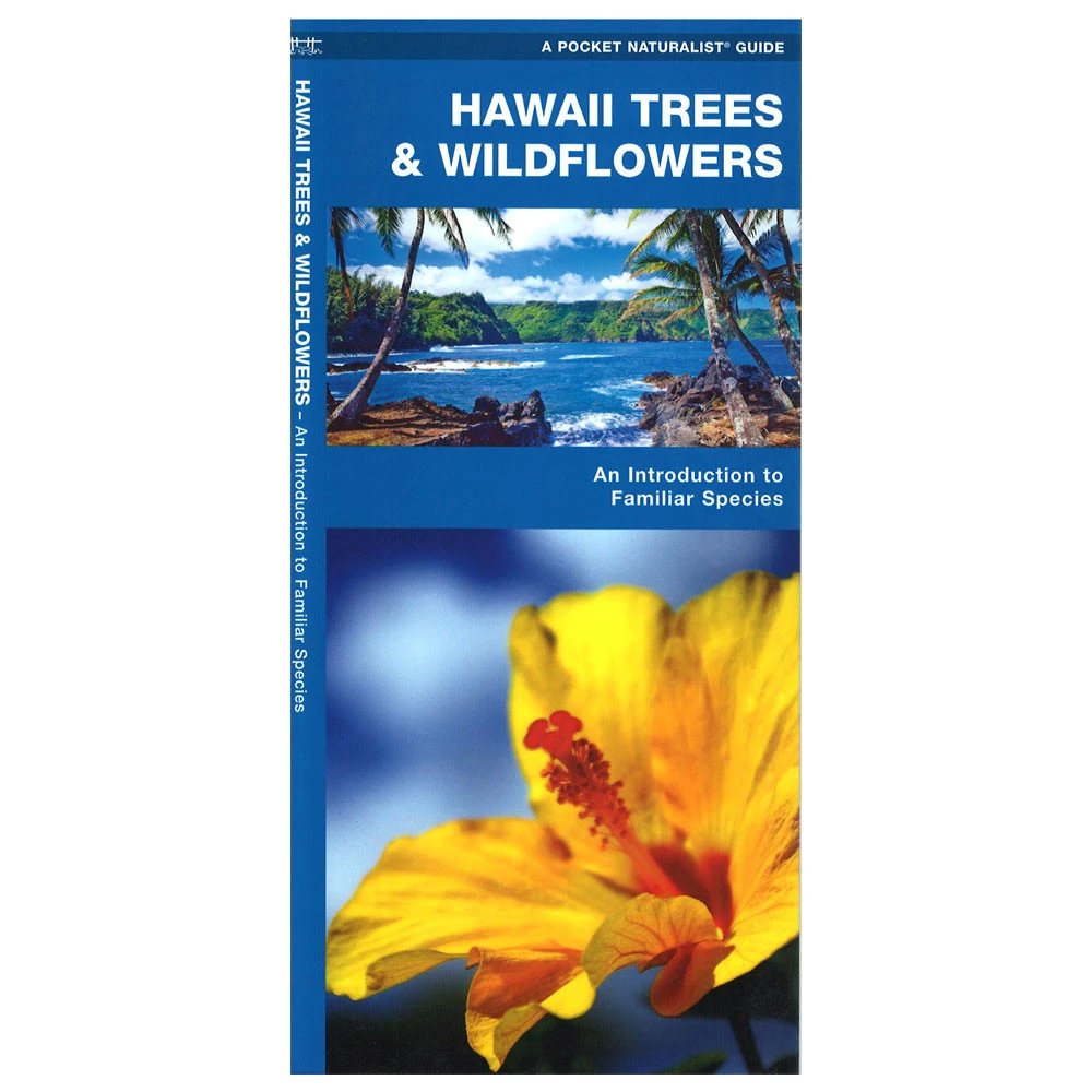 HIPacParks's tweet photo. Oh plant ID folks:
Hawai‘i Trees & Wildflowers is the perfect folding guide to familiar trees, shrubs, food plants & wildflowers. Beautifully illustrated #guide highlights 110+ species.
https://t.co/UwNh8J0cqs
#hawaiistrees #hawaiiswildflowers #pocketID #hawaiiparks
🌴🌱🌿🌺🌸 https://t.co/bdvPkblTr0