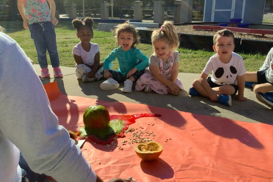 Valerie_trevin0's tweet photo. STEM Activity:🌋 Pumpkin-cano 🌋
The excitement of having fun and learning together the best at ECCC 😊 #PISDECCC #Brightstars https://t.co/nYGDvnhngx