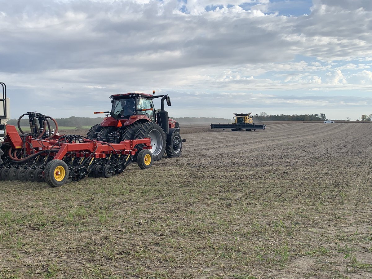 dspencer307's tweet photo. #plot21 being harvested by @DeltaPowerEquip chased by @delta_demo with #plot22 wheat! @ParrishHeimbeck #Kerwood #ontag #Harvest2021 Thanks to @NKSeedsCanada for doing some weighing action! Stay tuned, our P&H team will have the data. https://t.co/GQIQo5FIDQ