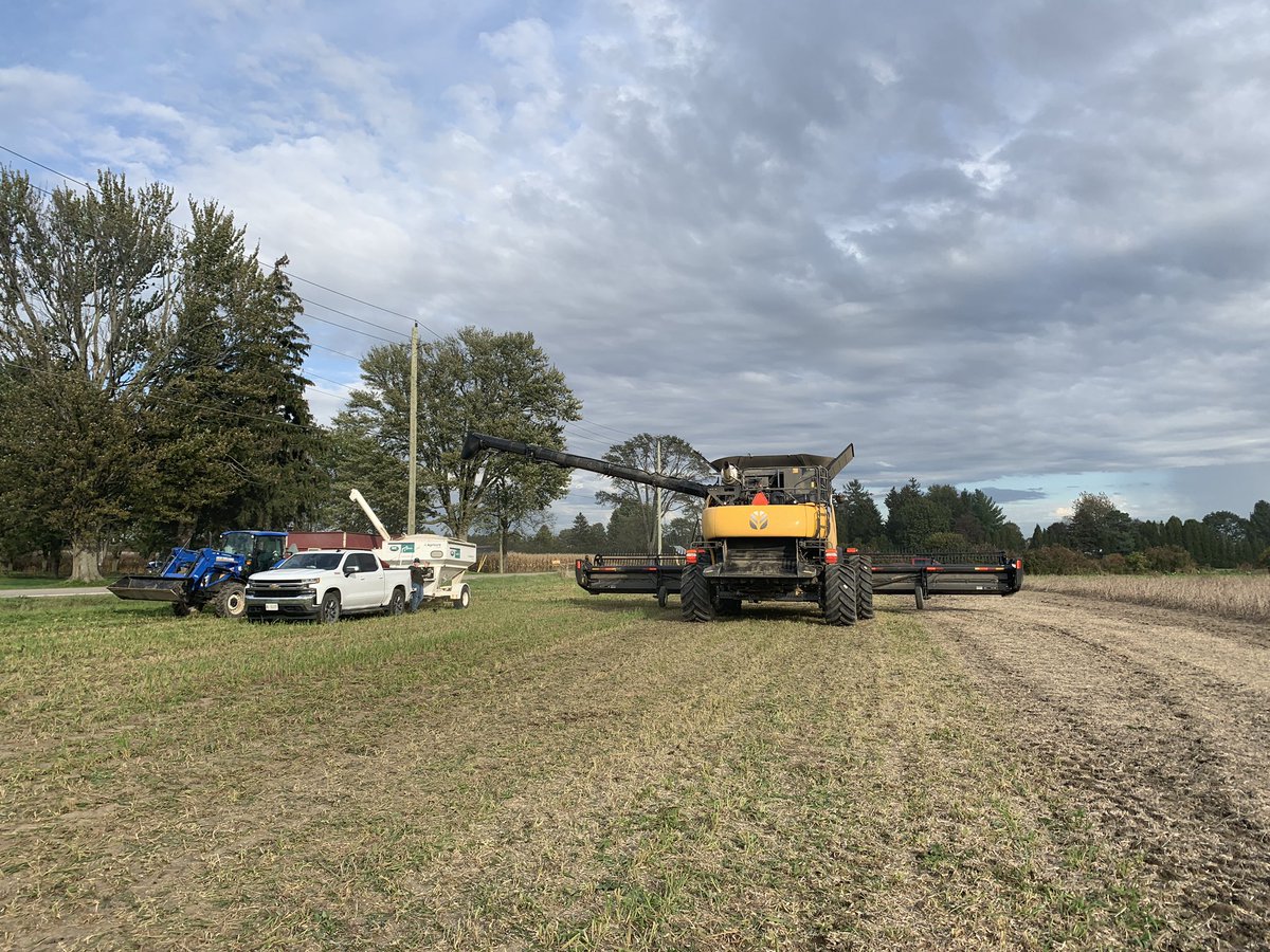 dspencer307's tweet photo. #plot21 being harvested by @DeltaPowerEquip chased by @delta_demo with #plot22 wheat! @ParrishHeimbeck #Kerwood #ontag #Harvest2021 Thanks to @NKSeedsCanada for doing some weighing action! Stay tuned, our P&H team will have the data. https://t.co/GQIQo5FIDQ