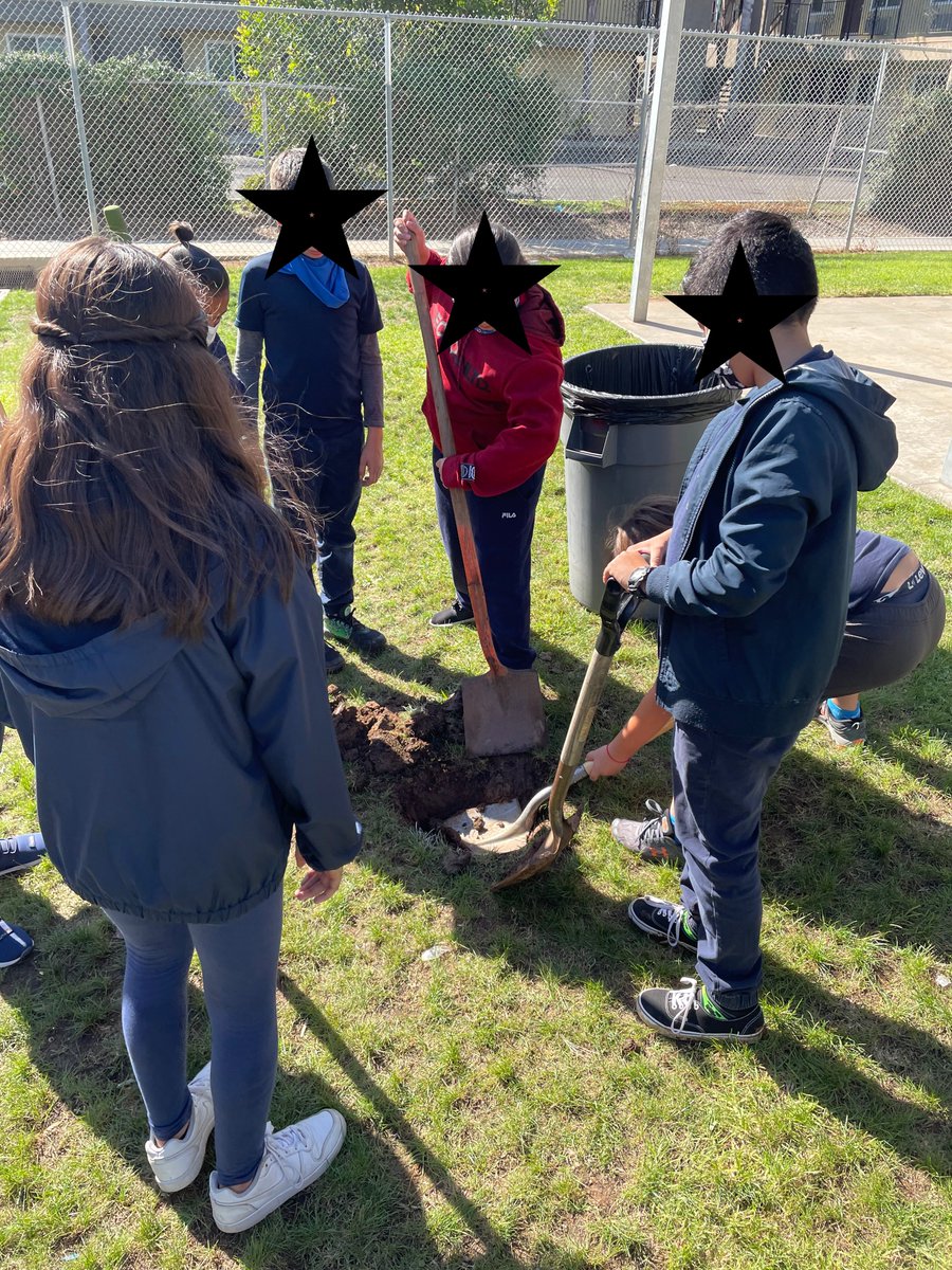 Cassie Rivaldi (@bymedesign) on Twitter photo #FeasterEngineering Ss had so much fun working together to dig holes for our incoming fruit trees! <a href="/FeasterCharter/">Feaster Charter CVESD</a> #FeasterEngineering Ss had so much fun working together to dig holes for our incoming fruit trees! <a href="/FeasterCharter/">Feaster Charter CVESD</a>