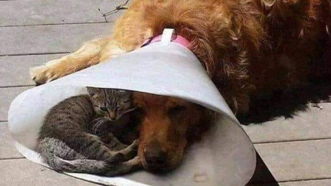 When someone is going through a rough time, just sit with them. 

No preaching, no advice...just be there.