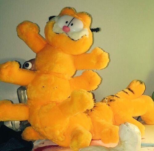 today's other bonus garfield merch is. centifield
