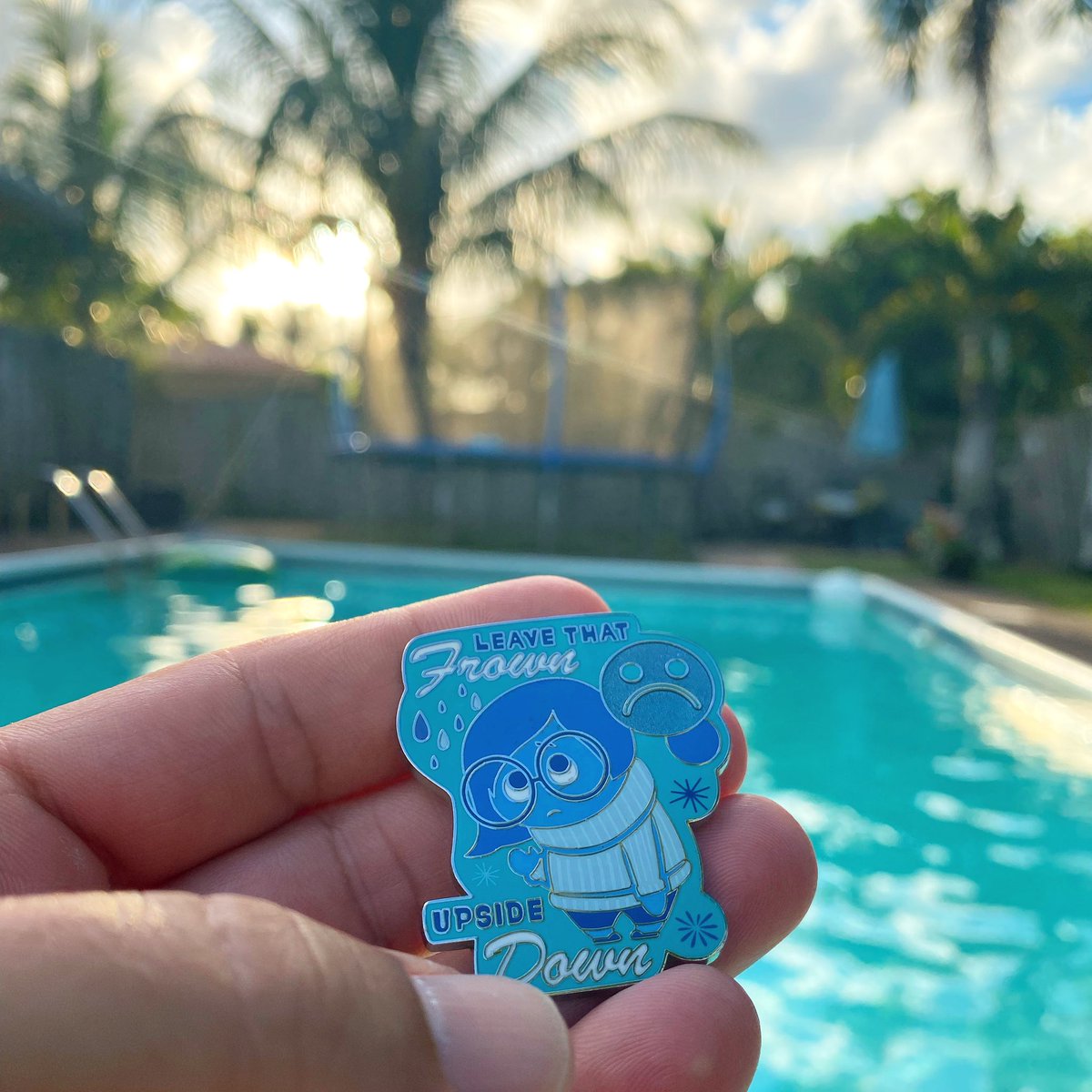 amadeo77's tweet image. Found this on ground during my #park #run today now #inthepool at #sunset #chillin #leavethatfrownupsidedown #outside #backyard #florida #endofday #therightway #sunlight #palmtrees #appreciatelittlethings