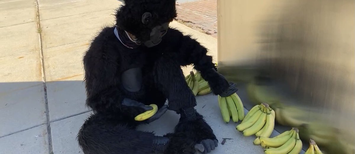 DCMJ2014's tweet photo. 🦍 the #AnonymousApes still think the #WarOnDrugs is bananas! #DEAmonolith 🦍 https://t.co/EP4hxuM3GU