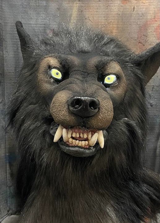 story_trail's tweet photo. Howling at the moon? Yes. Snarling like there’s no tomorrow? Yes! Mauling your enemies? Yes?! Protecting Mother Earth? oh heck yes!

I’m StoryTrail, werewolf lover, WTA dork, I doodle creatures too. Don’t mind the fro.

Thanks @Crystumes for my nighttime face. #bipocwerewolfday https://t.co/ivs2m6XxjE