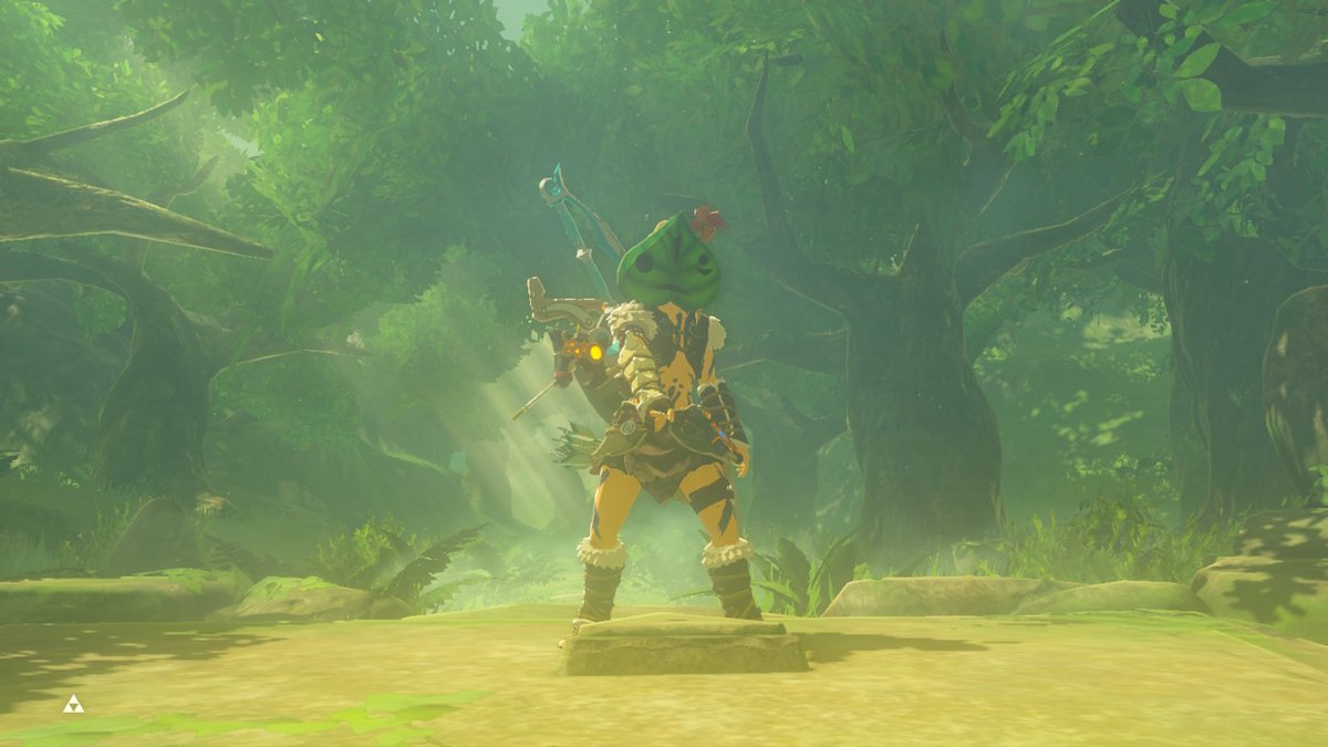 skyrenzz's tweet photo. Finally #BreathoftheWild #NintendoSwitch https://t.co/me7Rn6SL7E