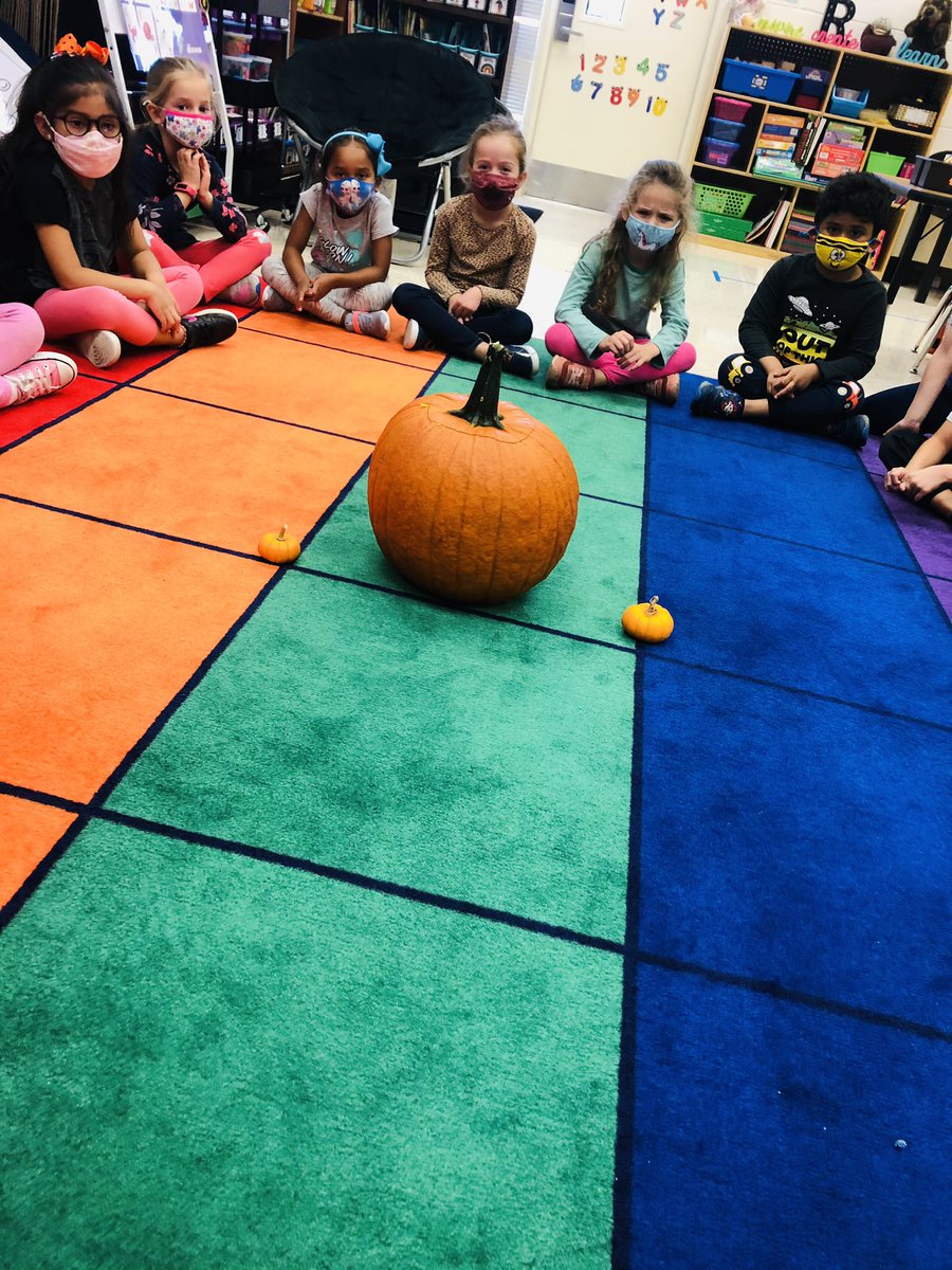 MrsForeman_LOW's tweet photo. PUMPKIN🎃 investigations all week long! these growing minds have done so well predicting, comparing, and thinking critically👏🏼 @LowesIslandElem #SpottedatLOW https://t.co/mVXhwxi82c
