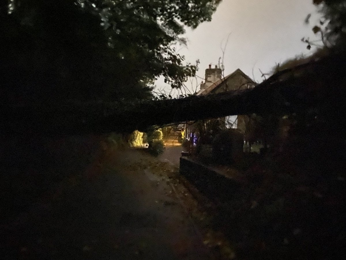 NoManualReqd's tweet photo. Just to advise @SOJPdigital that Rue a la Dame is blocked with two trees down both on the lower and upper part of the road. #impassable @BBCCINews @ITVChannelTV https://t.co/l8F45Rj4xy