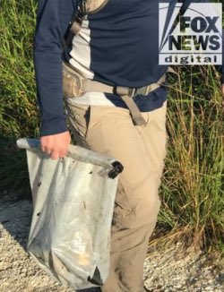 ChildersWendy's tweet photo. @BrianEntin No gloves while carrying evidence?  Really??  How else can they screw up this one? https://t.co/md82vFgl7t
