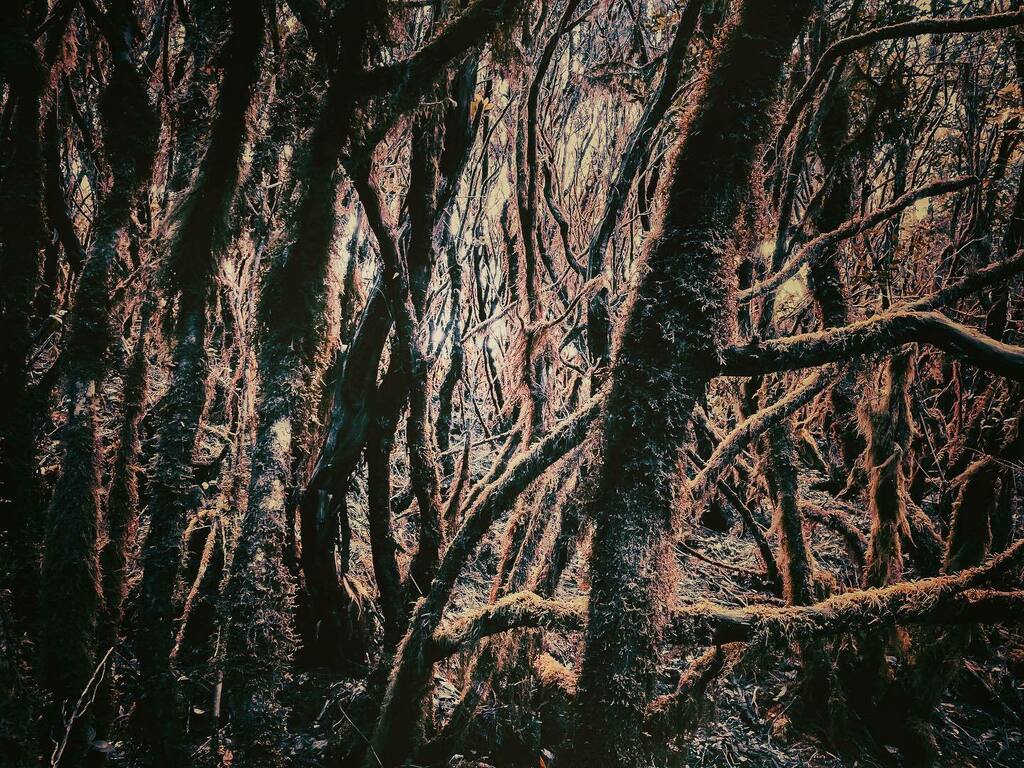 2mooar's tweet photo. https://t.co/TFDcEezGan https://t.co/HUO1Yus45W