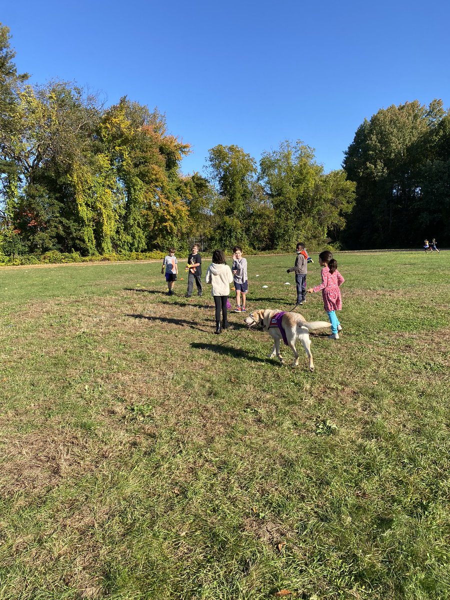 MrsBent2470's tweet photo. Serenity enjoying PE with grade 3 🐾🐾 @FloRoElem @floroPHYSED https://t.co/mL6Hy66TI6