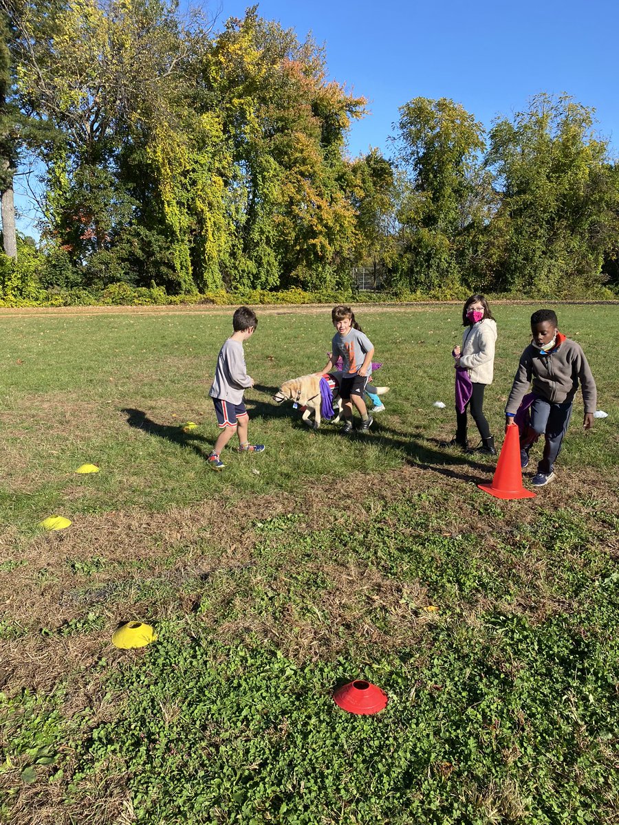 MrsBent2470's tweet photo. Serenity enjoying PE with grade 3 🐾🐾 @FloRoElem @floroPHYSED https://t.co/mL6Hy66TI6