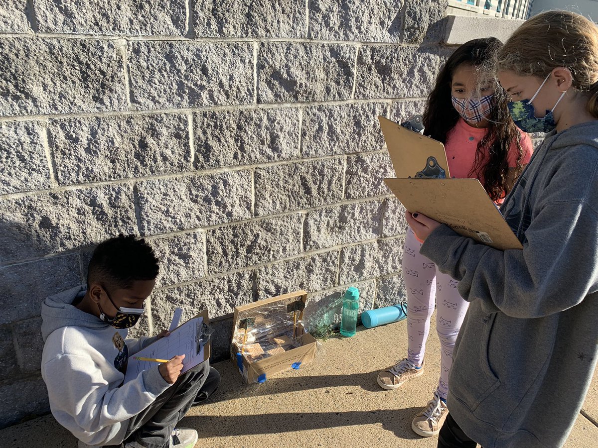 Ms.Greenberg's class tweet media