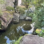 ツイートに含まれる画像